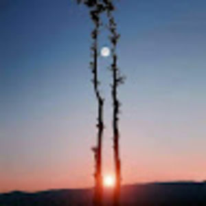 Meet your Posher, Tfbruhhh